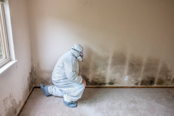 Asbestos and Lead Testing During Mold Inspection in Aptos Hills Larkin Valley, CA